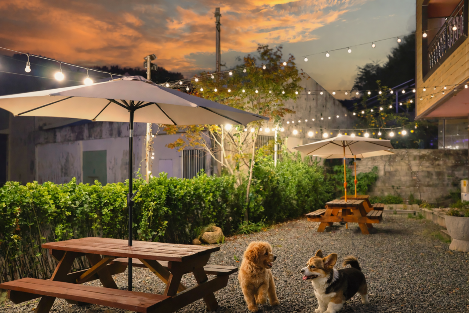 1280애견동반펜션